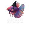 Mindset Fighting Fish Helmet, Motivational Saying 