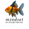 Mindset Goldfisch mit Helm, Motivationsspruch