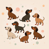 Dachshund Paradise