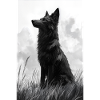 Illustration of a wolf