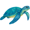 Tortue de mer bleue Aquarelle