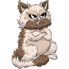 Mürrische Katze