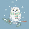 Pastel Winter Owl on Branch