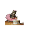 40 . Birthday Funny Cat Design