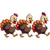 Bébé dinde de Thanksgiving