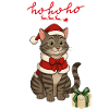 HoHoho, chat gris