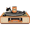 Retro cat at the turntable