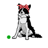 Just Throw It Border Collie Dog Moms and Dads