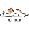 Cat - Not Today