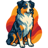 Sunset Australian Shepherd Dog