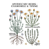 Apothecary Herbs – Chamomile & Thyme