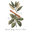 Cannelle et basilic