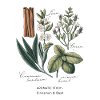 Botanical Art - Cinnamon & Basil