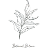 Botanical Balance – Harmony of Nature