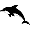 Dolphin Dolphins T-shirt Gift