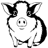T-shirt cochon d’Inde cadeau