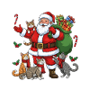 Cats for everybody