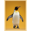 Pingouins Pingouin