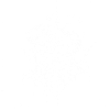 Éléphant 