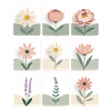 Série Fleurs Pastel