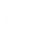 Gemini Zodiac Sign