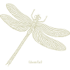 Libellule Odonate