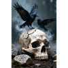 Skull poster gothic skull raven poster