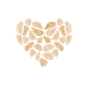 Oysters