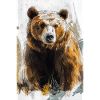 Illustration of a bear