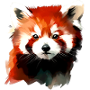 red panda