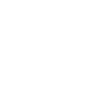 what the world needs is more geniuses with