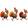 Bébé dinde de Thanksgiving
