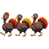 Bébé dinde de Thanksgiving