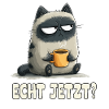 Grummelkatze mit Kaffee