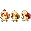 Bébé dinde de Thanksgiving