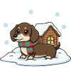 Teckel dans la neige