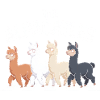 Alpacatles Llama Alpaca