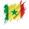 Senegal flag, torn style