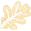 Blatt Eiche / Eichenblatt - Natur Design