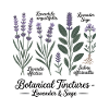 Botanical Tinctures – Lavender & Sage