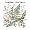 Art botanique