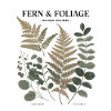 Botanical Art - Fern & Leaves