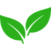 Illustration de feuilles vertes
