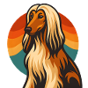 Afghan Dog in retro sunset