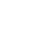 Chaos is agility: Project manager