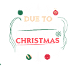 Christmas Inflation Costume