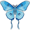 Geometrischer Blauer Schmetterling