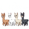 Alpacatles Llama Alpaca