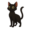 Black Cat Golden Eyes
