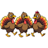 Bébé dinde de Thanksgiving